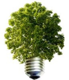 EVE, un label pour certifier l'électricité verte - Batiweb